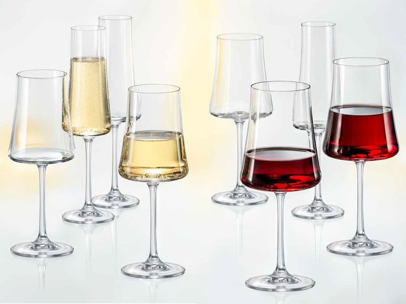 Collection of wine glasses, champagne XTRA