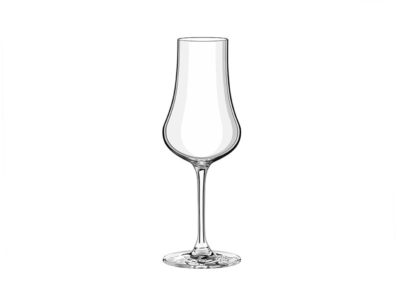 FRUIT SPIRITS GLASS tasting glasses 260 ml 2 pcs.