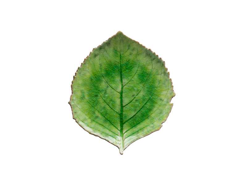 Plate with hydrangea leaf RIVIERA 220 mm tomate